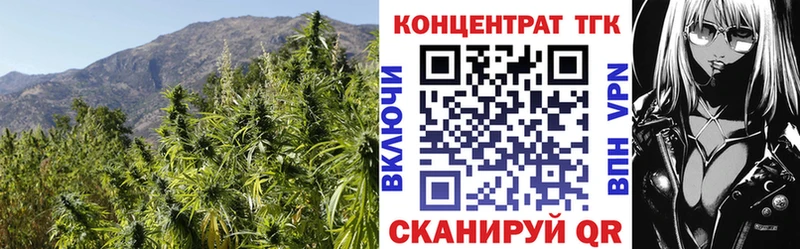 ссылка на мегу вход где купить наркоту Красновишерск Дистиллят ТГК THC oil